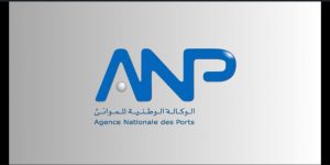 WhatsApp Image 2026-01-19 at 17.27.08 (3)