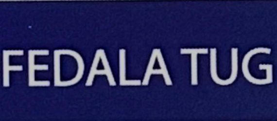 WhatsApp Image 2026-01-19 at 17.27.09 (1)